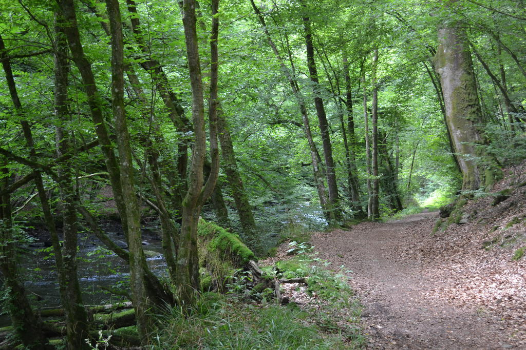 Gite La Clef Des Champs Libin Ruang foto